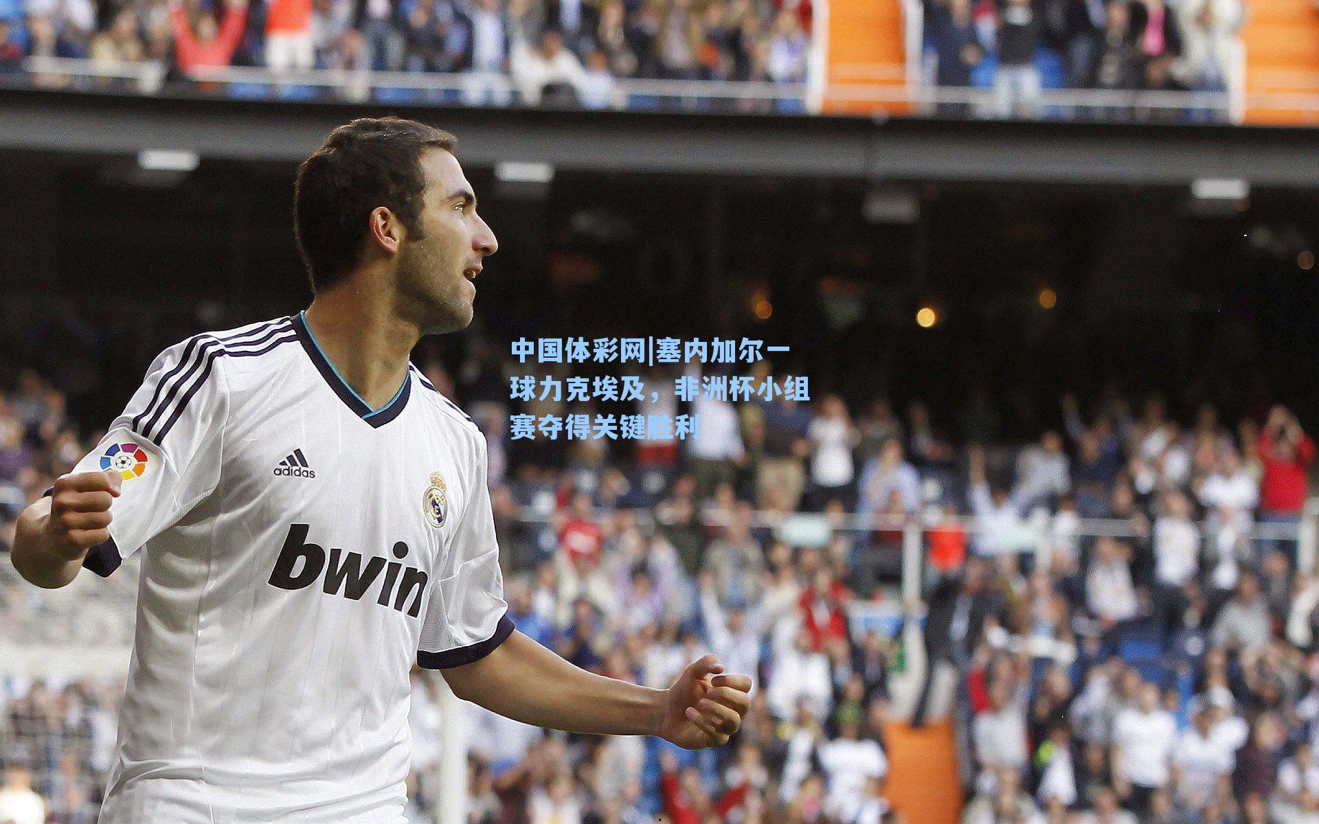 塞内加尔一球力克埃及，非洲杯小组赛夺得关键胜利